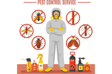 7 Benefits of Hiring Local Exterminators for Your Pest Problems