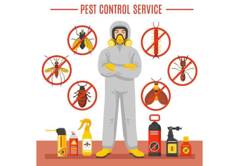 7 Benefits of Hiring Local Exterminators for Your Pest Problems