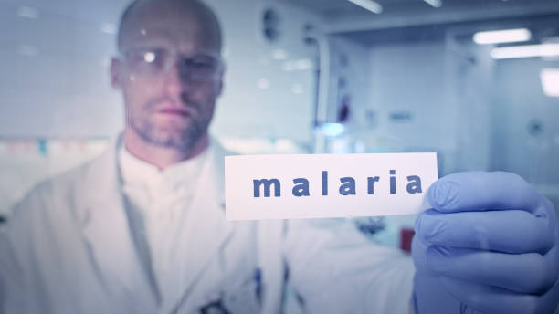 Common Myths and Misconceptions About Malaria