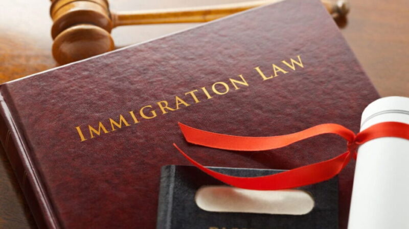 Why Immigration Law Is Essential for Global Mobility