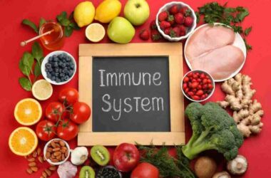 Nutrition for Immunity: Foods That Help Fight Off Illnesses