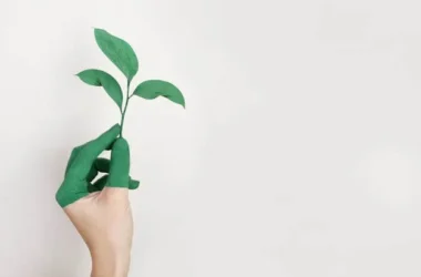 Why Do Leading Institutions Trust Sustainability Consulting for Smarter Buildings?