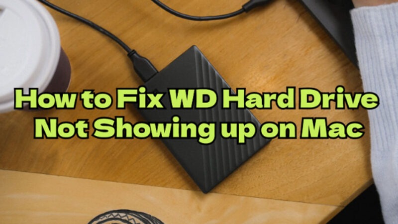 Western Digital Hard Drive Not Showing up on Mac