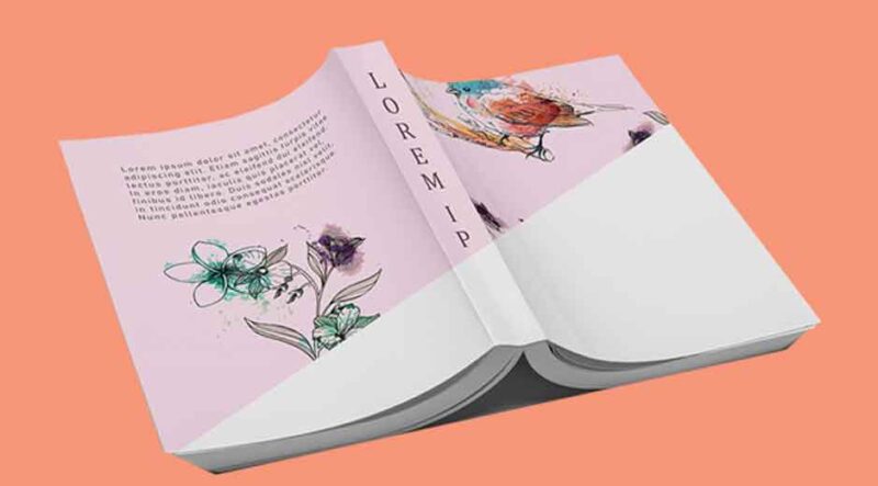 5 Things to Think About When Choosing Booklet Printing Options