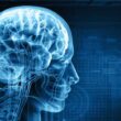 Best Memory App Choice of 2025: Get Mental Clout Boost with Intellectually Demanding Brain Training Programs