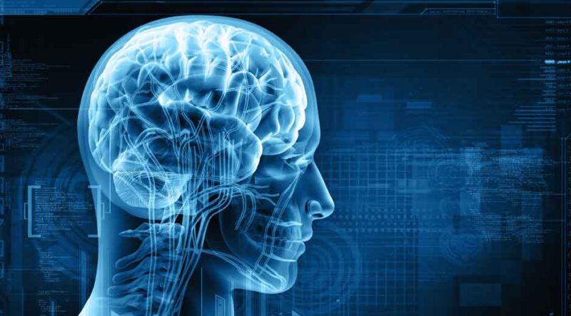 Best Memory App Choice of 2025: Get Mental Clout Boost with Intellectually Demanding Brain Training Programs