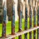 How to Know When It’s Time to Replace Your Old Fence