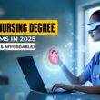 Top 10 Online Nursing Degree Programs in 2025 (Accredited & Affordable)